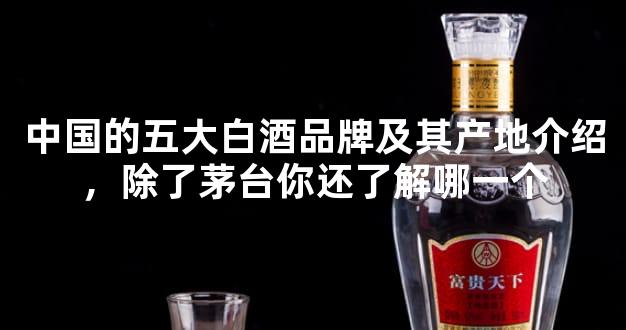 中国的五大白酒品牌及其产地介绍，除了茅台你还了解哪一个