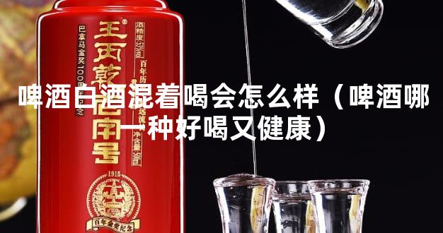 啤酒白酒混着喝会怎么样（啤酒哪一种好喝又健康）