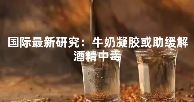 国际最新研究：牛奶凝胶或助缓解酒精中毒