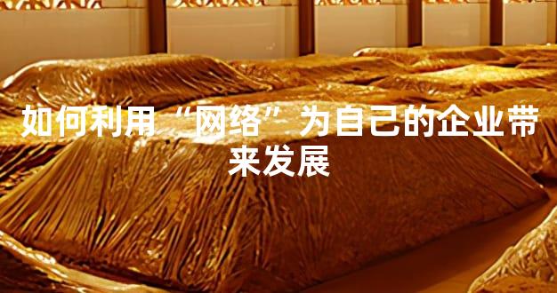 如何利用“网络”为自己的企业带来发展